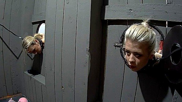 Похотливая брюнетка делает отличный минет