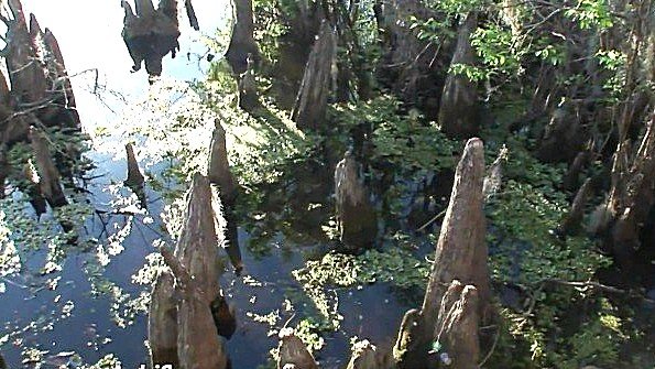 Генри Свит сука волей раскрывает свое человеческое лицо множеству сперматозоидов