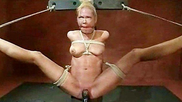 Девушка стоит на четвереньках и трахается в порнографическом дайджесте